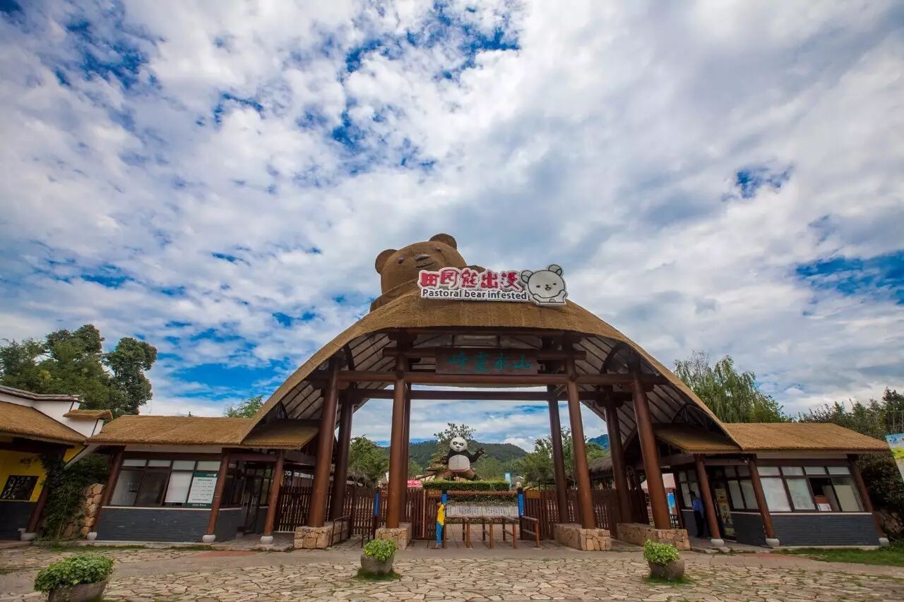 打开一个网页出现这种情况怎么办?