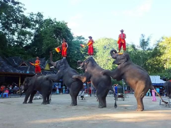 五一去哪兒玩？大連至眾多旅遊勝地春遊團驚現白菜價，約吧！ 旅遊 第35張