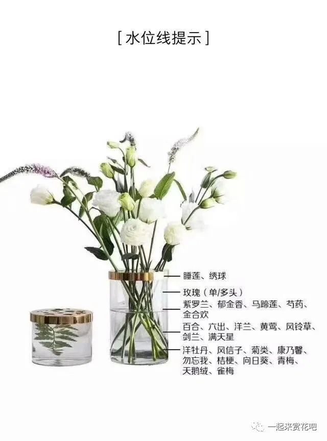 鲜花养护步骤示意图_鲜花养护_康乃馨鲜花养护/