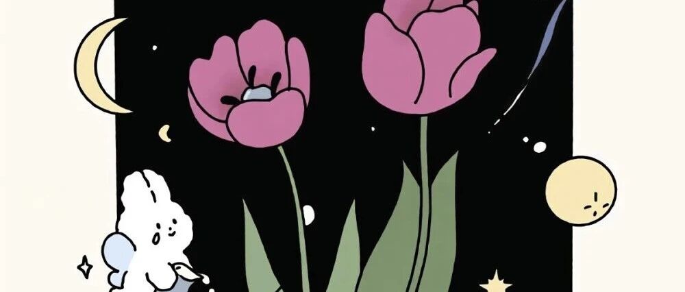 本周好运降临的星座TOP4（12.20-12.27）