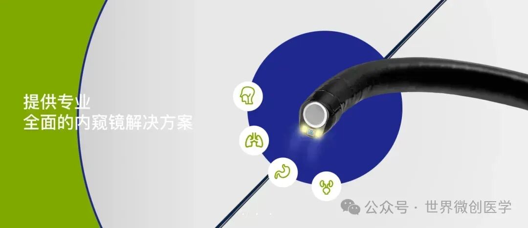 胆道镜有哪些品牌一次性电子内窥镜国产品牌（二）_https://www.jmylbn.com_新闻资讯_第4张