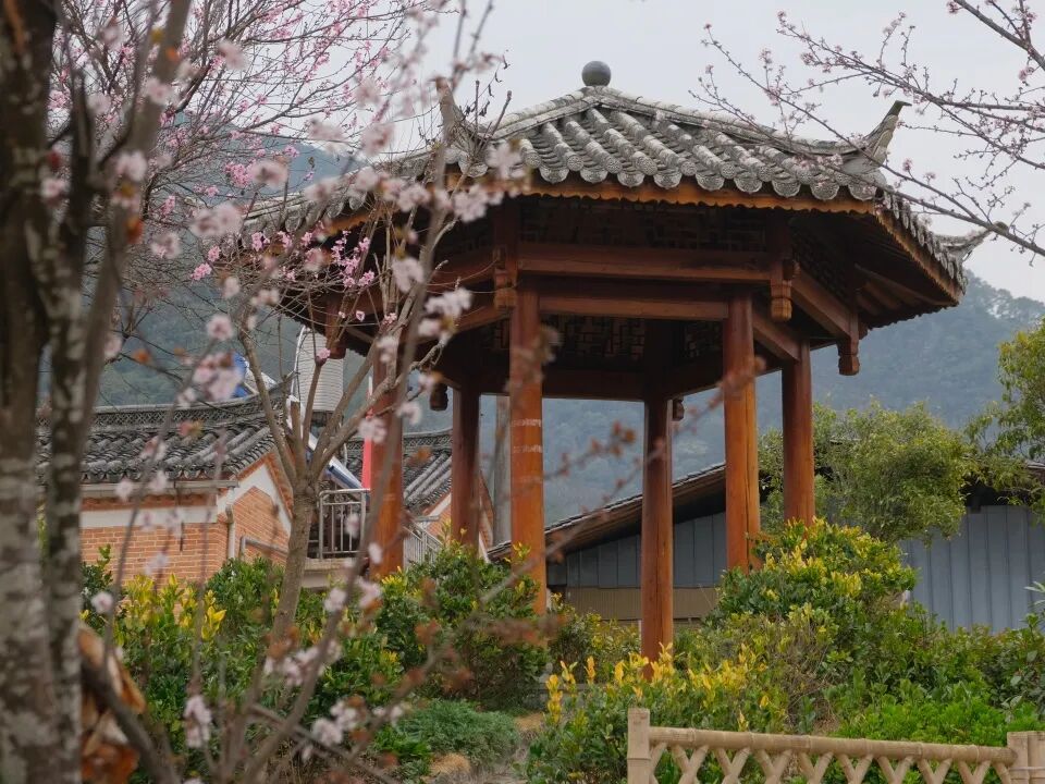 _边境村的定义_边境村建设