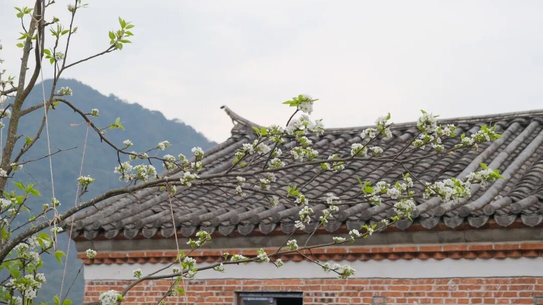 边境村建设__边境村的定义