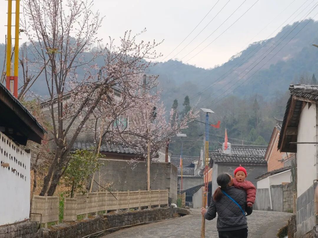 边境村建设_边境村的定义_