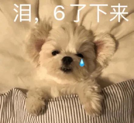 办网上黑提款平台违法吗_网上黑平台不给提款怎么办_办网上黑提款平台犯法吗