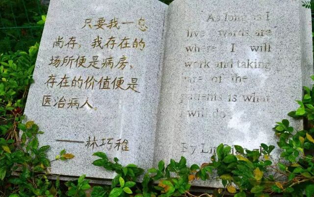 《我不是药神》遭打脸！这林家人是万婴之神（母）_白岩松高度赞赏 图12