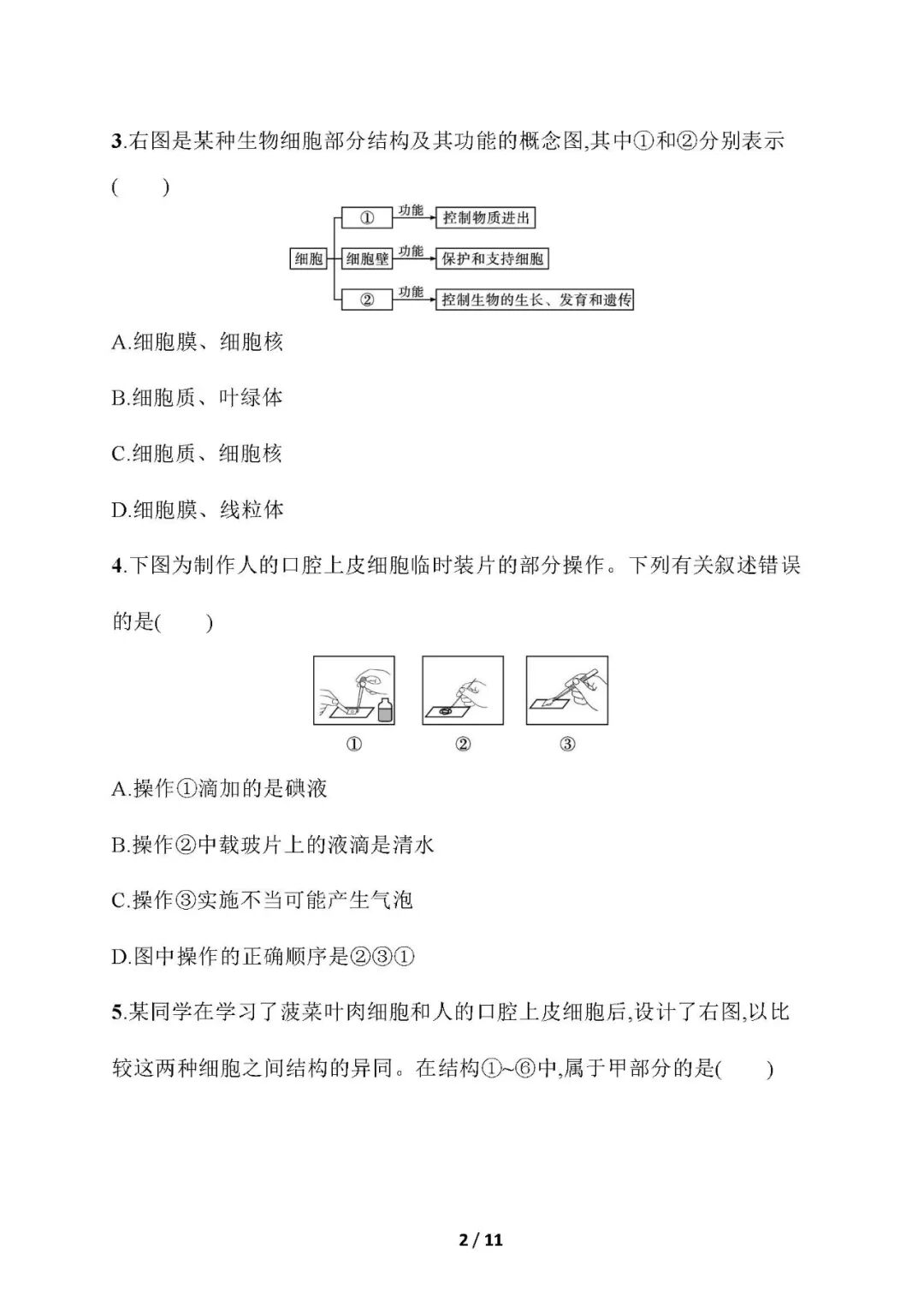 【25秋】新人教版七年级上册生物：全册《看图题》专项练习题（含答案）
