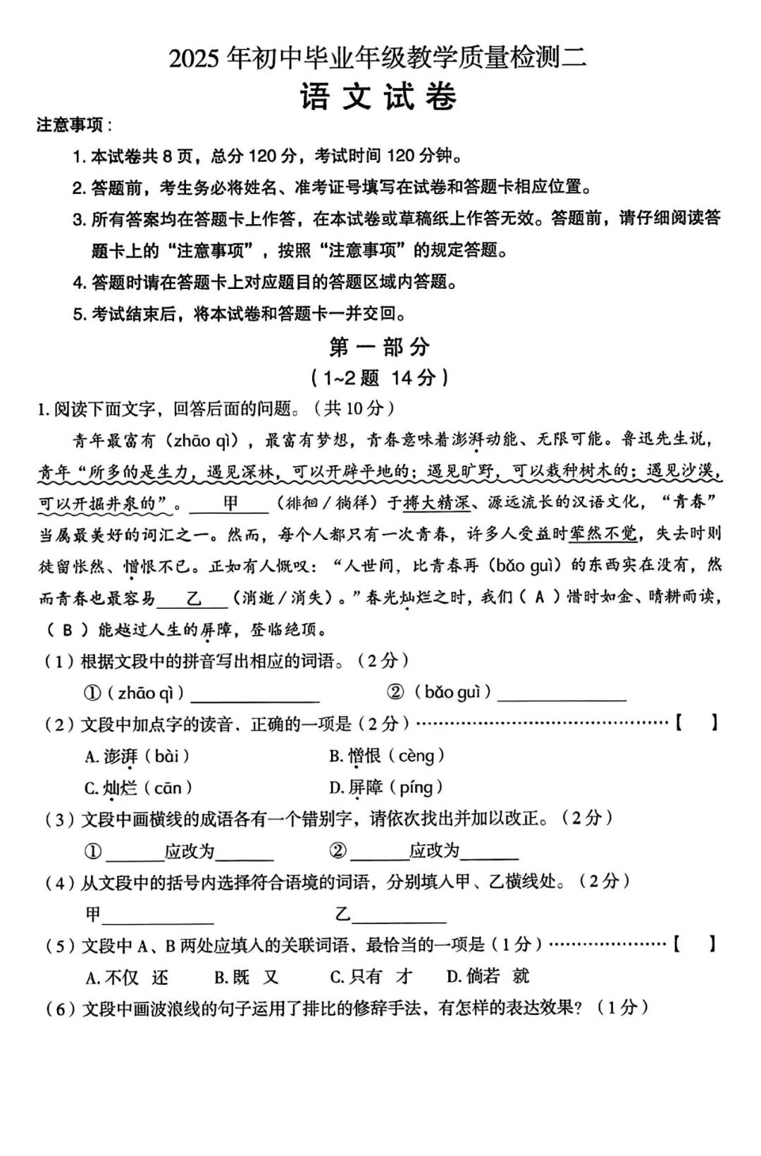 2025年九年级下册语文中考模拟测试卷（含答案）