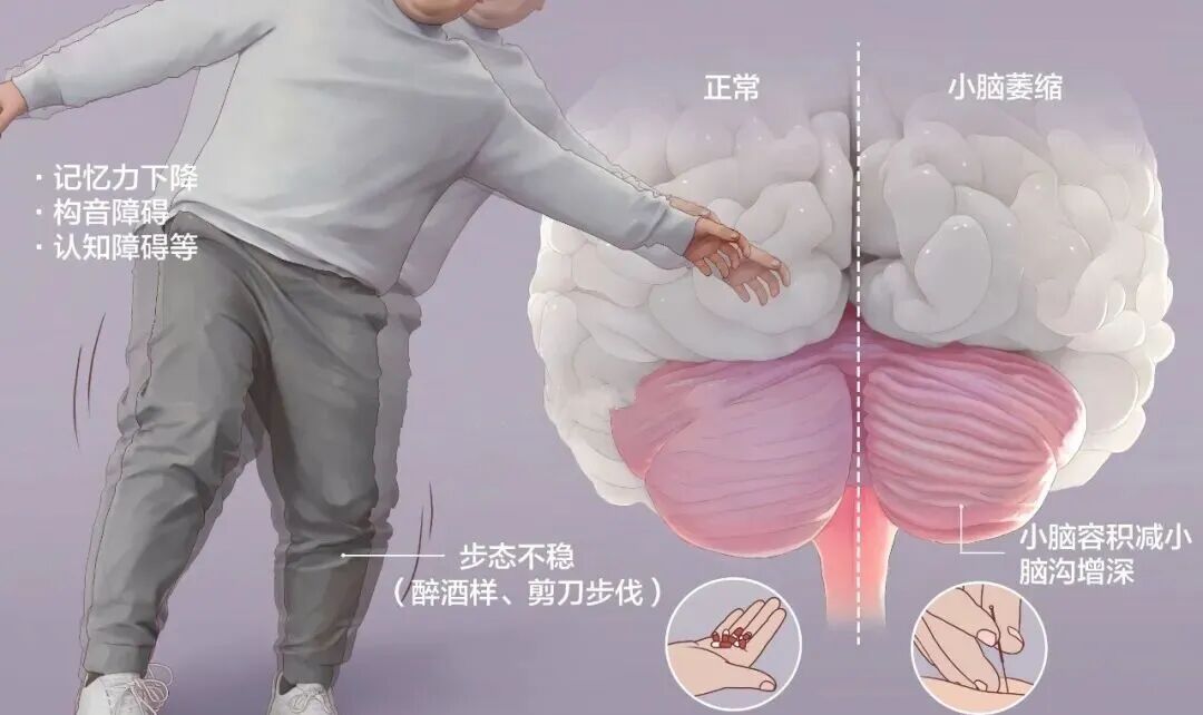 微信图片_2026-09-02_104550_842.jpg