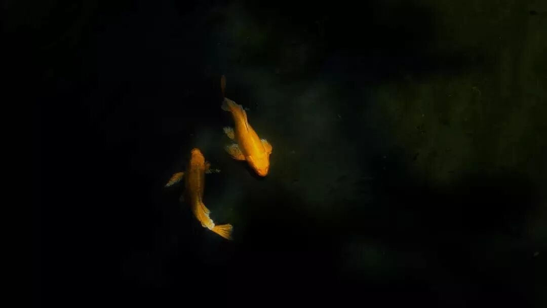 中国人的小资情调，中国人的罗汉床