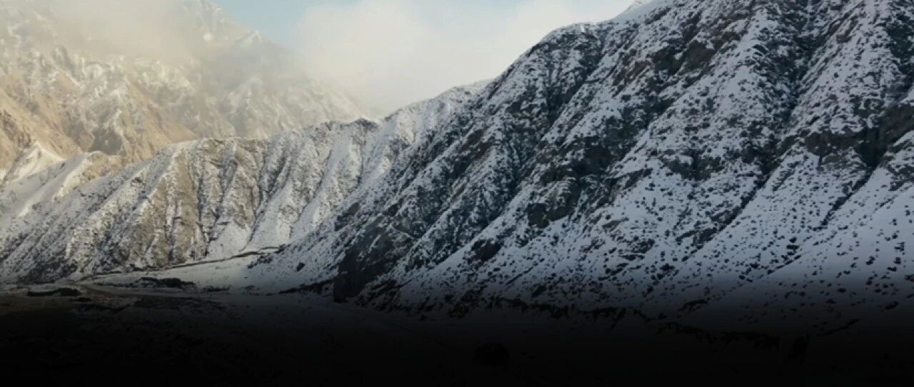 cover_image