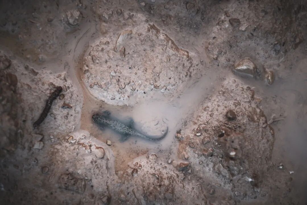 比特币暴跌后，挖矿产业陷入泥沼