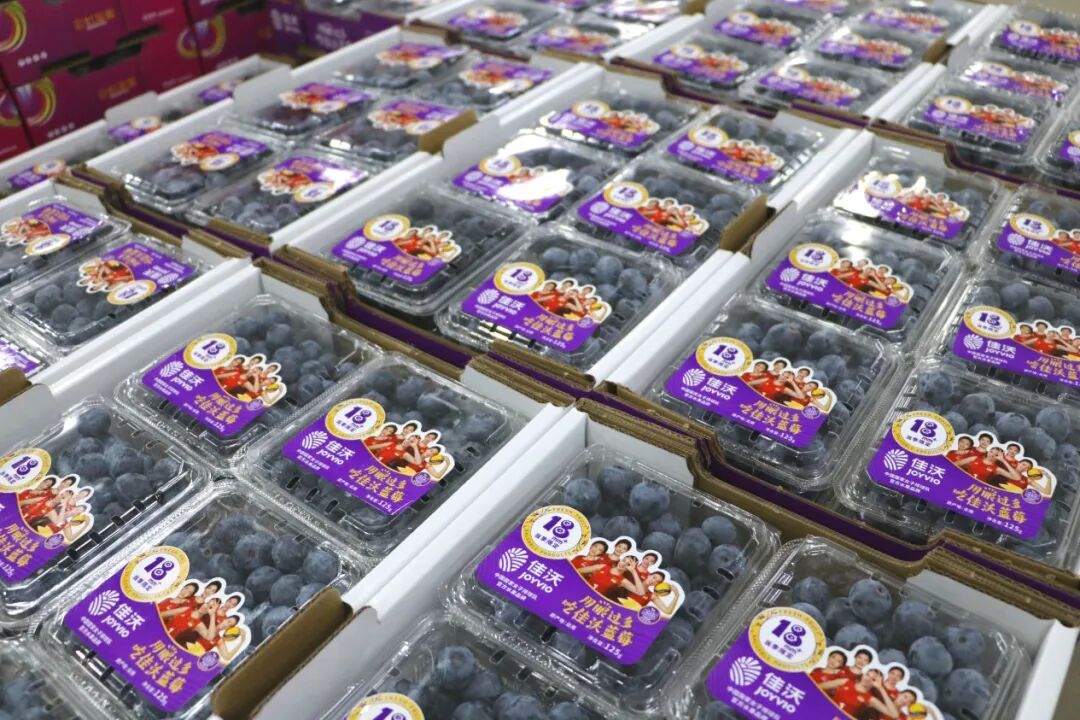 水果新消费主义崛起佳沃打造超级水果新生态