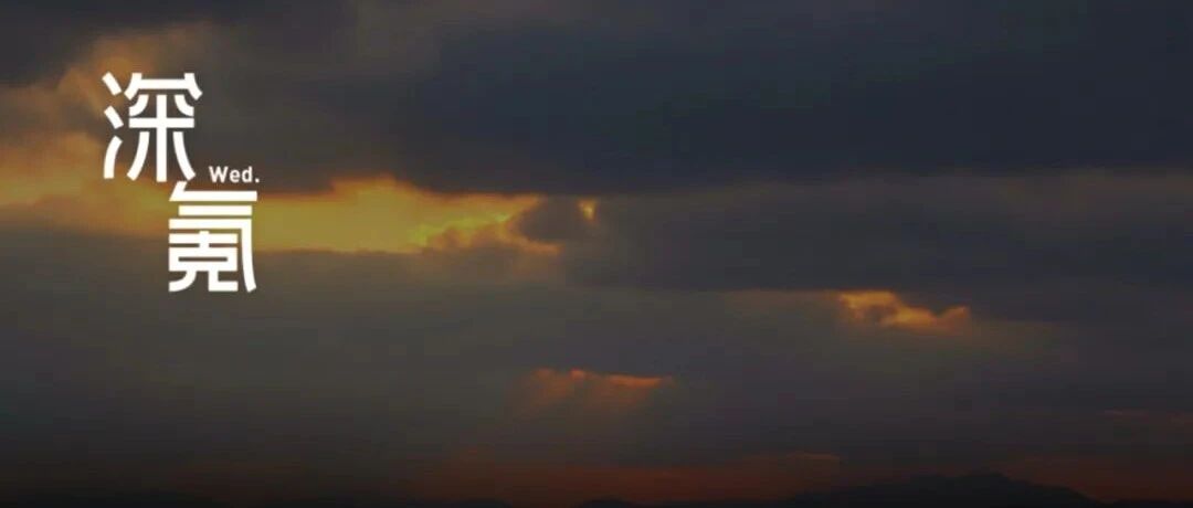 量化基金迷雾：从收入堪比王菲，到万籁俱寂｜深氪