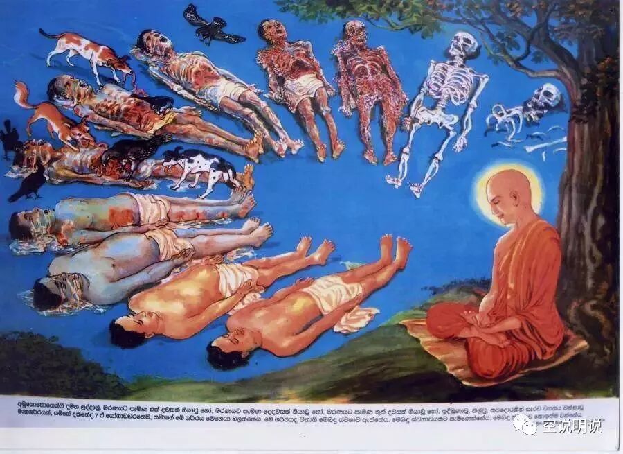 绝世美女出家苦修三十年 水桶打破而开悟 立时作偈一首 灵异惊魂鬼故事 微信公众号文章阅读 Wemp