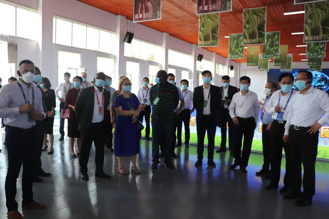 国际粮食减损大会在济南开幕，丞华展览承接本次大会静态展及机收演示环节