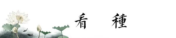 如何选购翡翠成品？行家送给翡翠新人的建议！