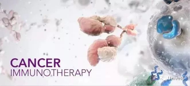 科技生物全球排名第一_全球生物科技_科技生物是什么