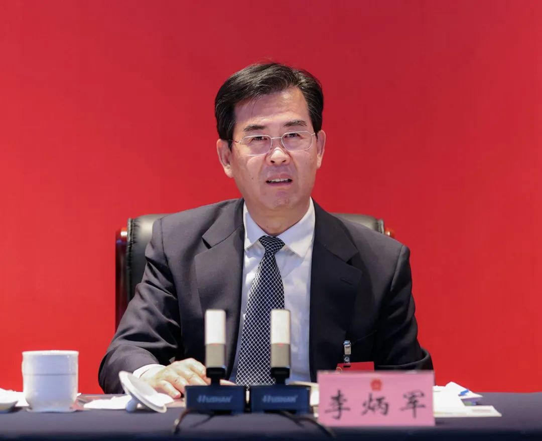 李炳军参加铜仁代表团审议