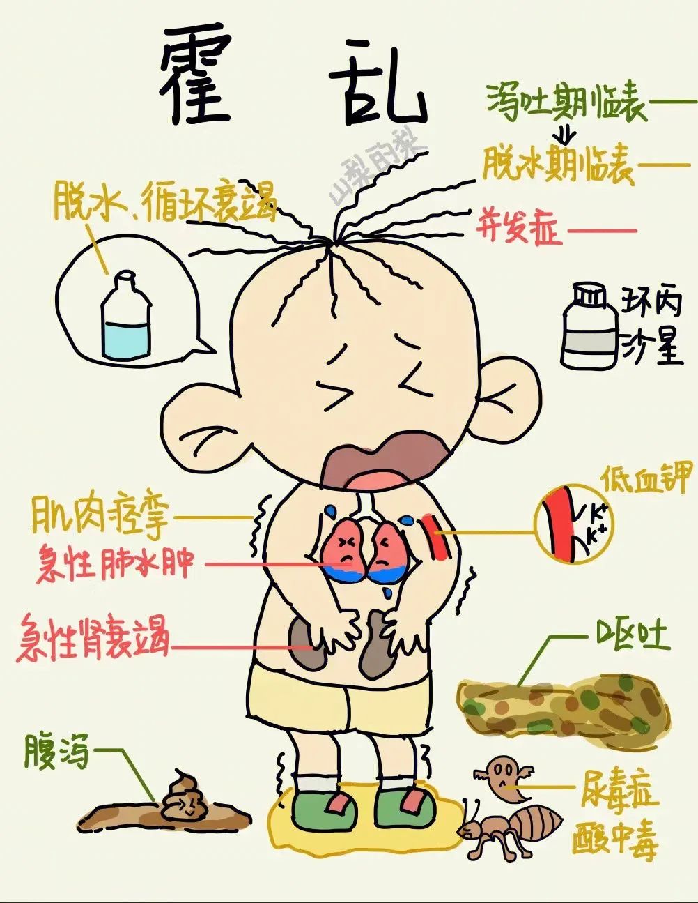 科普 | 霍乱的传播与预防
