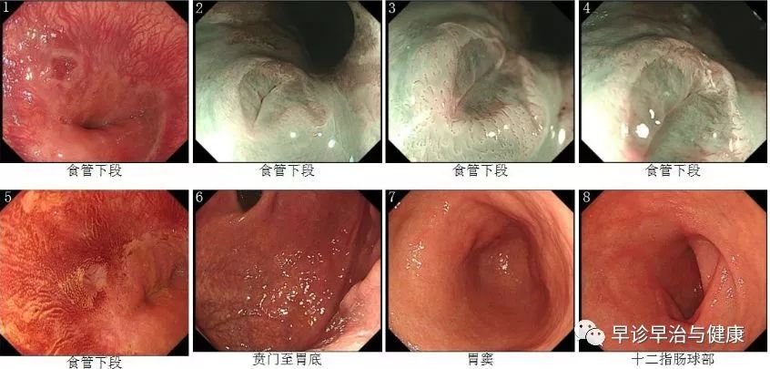 医生心得体会怎么写_医生经验心得_医生的心得