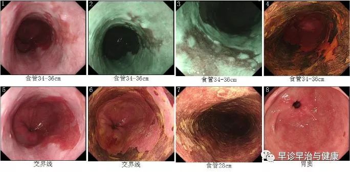 医生心得体会怎么写_医生经验心得_医生的心得