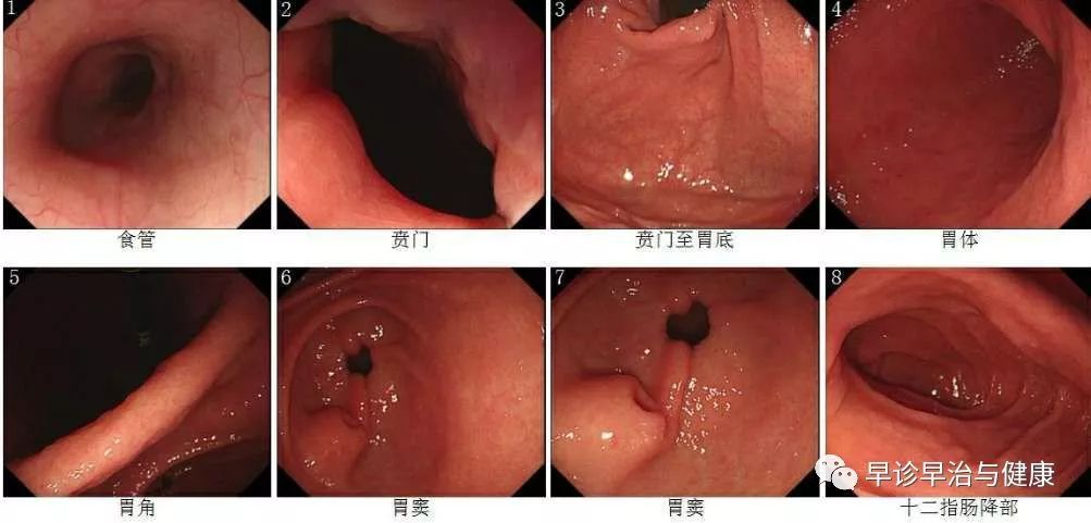 医生经验心得_医生心得体会怎么写_医生的心得