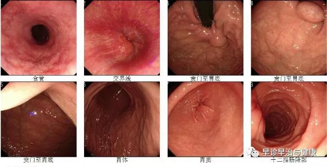 医生心得体会怎么写_医生经验心得_医生的心得