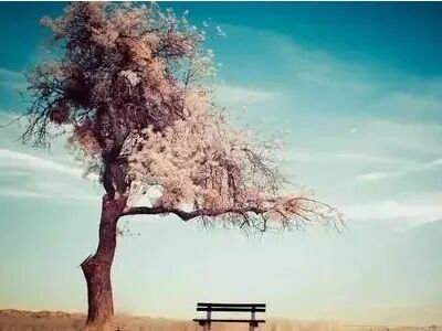 人体“百毒不侵”的秘诀，完全颠覆你的认知！