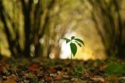 人体“百毒不侵”的秘诀，完全颠覆你的认知！