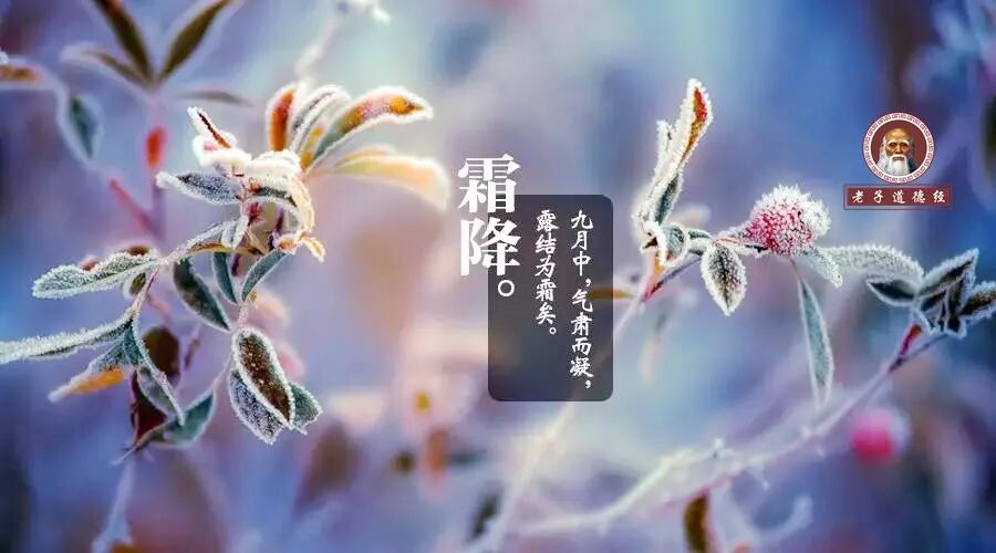 早听：霜降来了！什么都不吃，这一件事必须做！不然老了站不起！