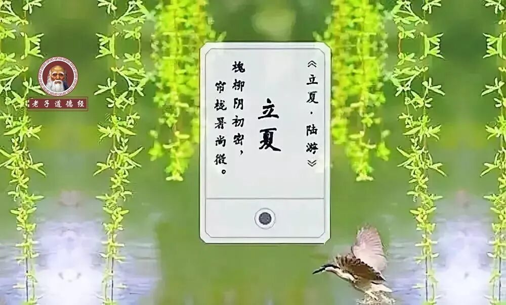 早听：立夏养生，吃三样，喝三样，健康就靠这三样！