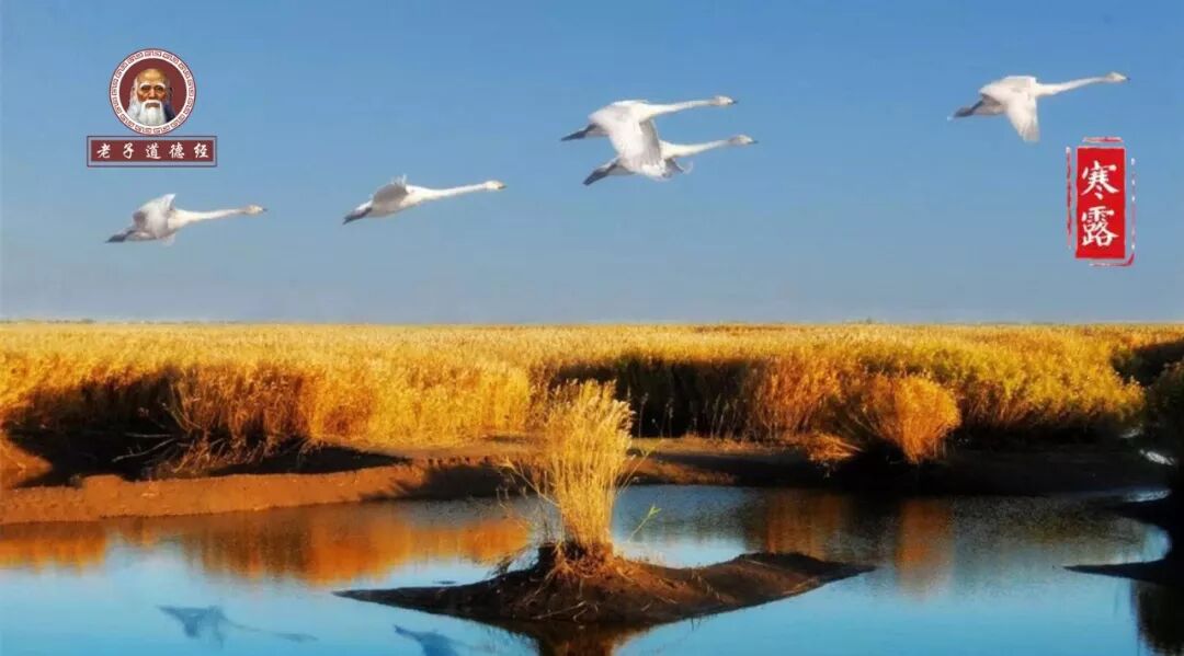 早听：今日寒露，你必须知道的养生知识！