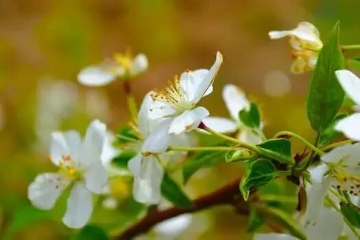 早听：学会感恩，不负不欠（经典好文）