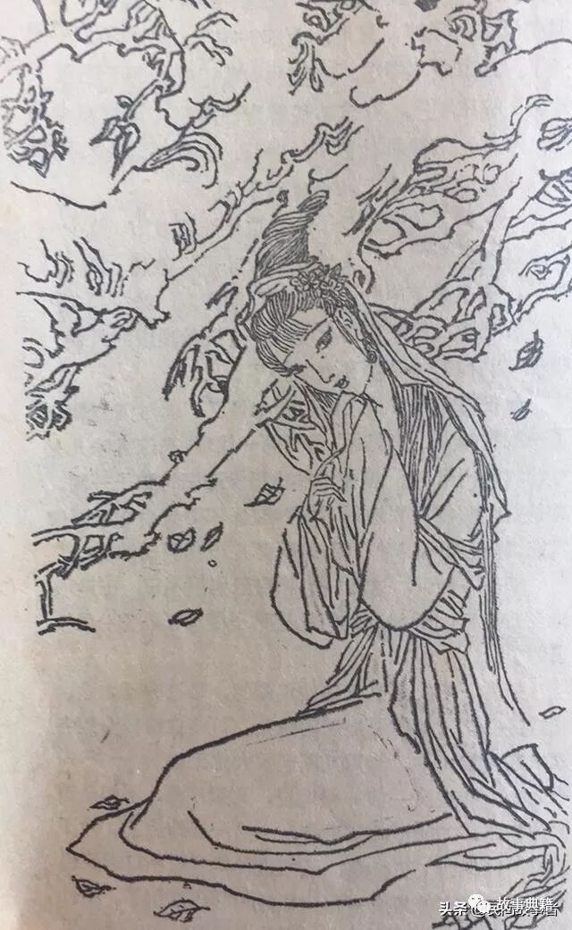 民间故事：狐女与樵夫石新！ - 故事典籍 微信公众号文章阅读- WeMP