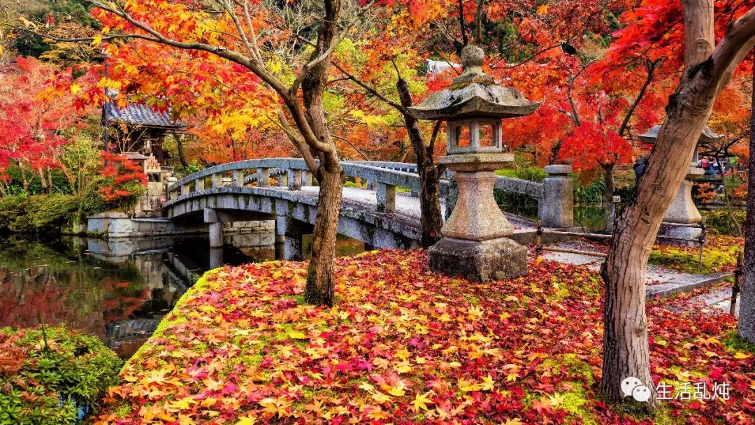 日本京都最美的秋在哪里 禅院 全网搜