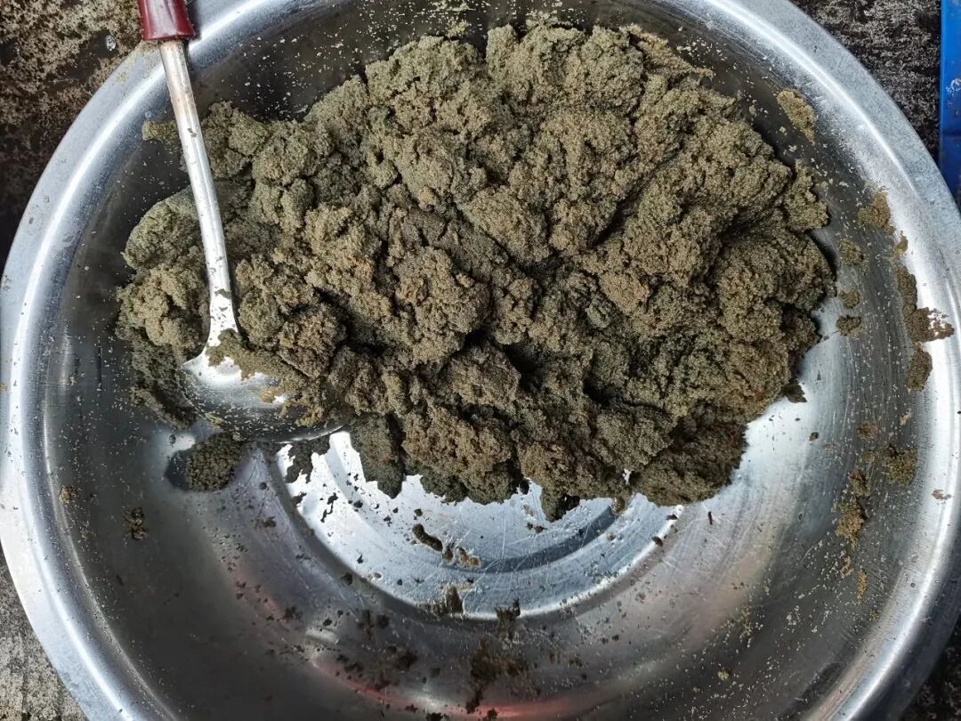 泥虾生长在什么地方？泥虾主要是由水蚤等浮游生物构成的