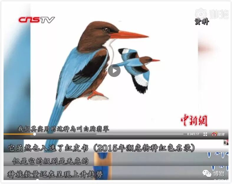 头饰动物图片简笔画_动物头饰图片_头饰动物图片大全