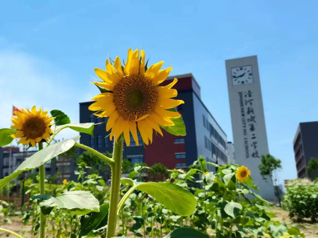 西咸新区泾河新城第二学校招聘公告