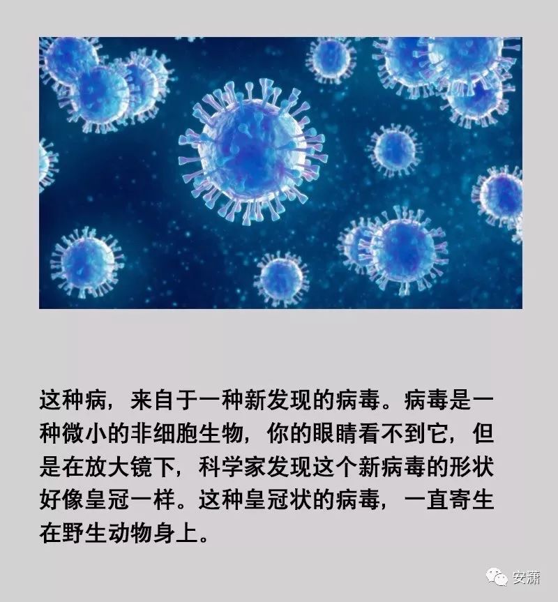 孩子们也能看懂的“冠状病毒”绘本