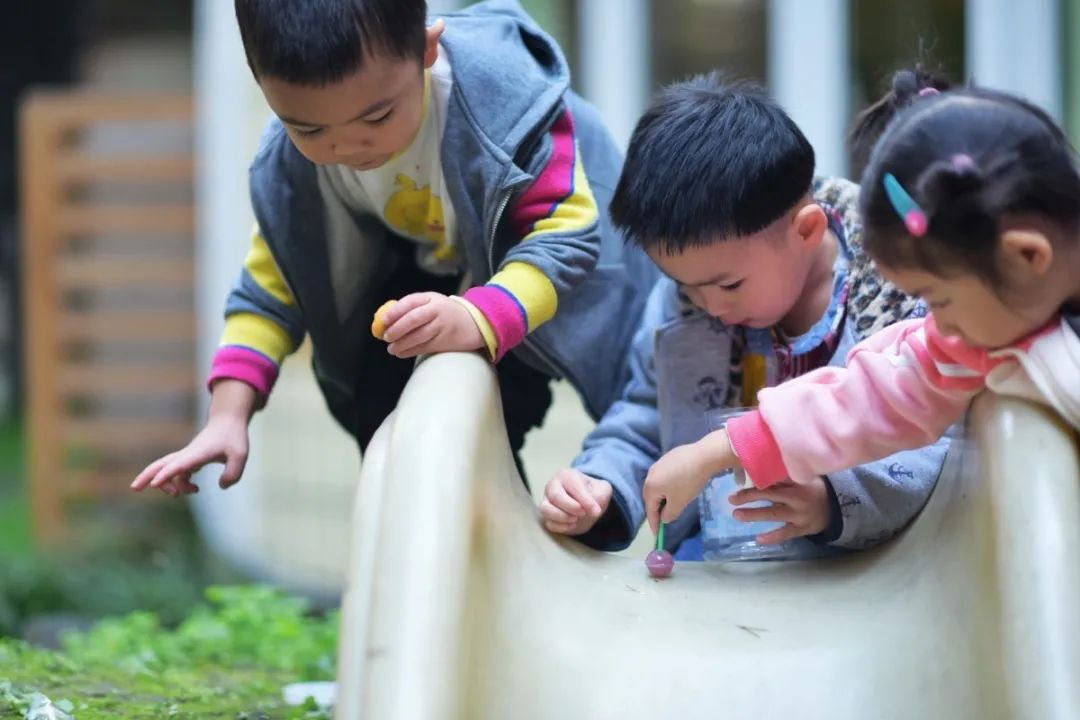 晨间锻炼内容指导要点_晨间锻炼活动内容_优质晨间锻炼分享经验