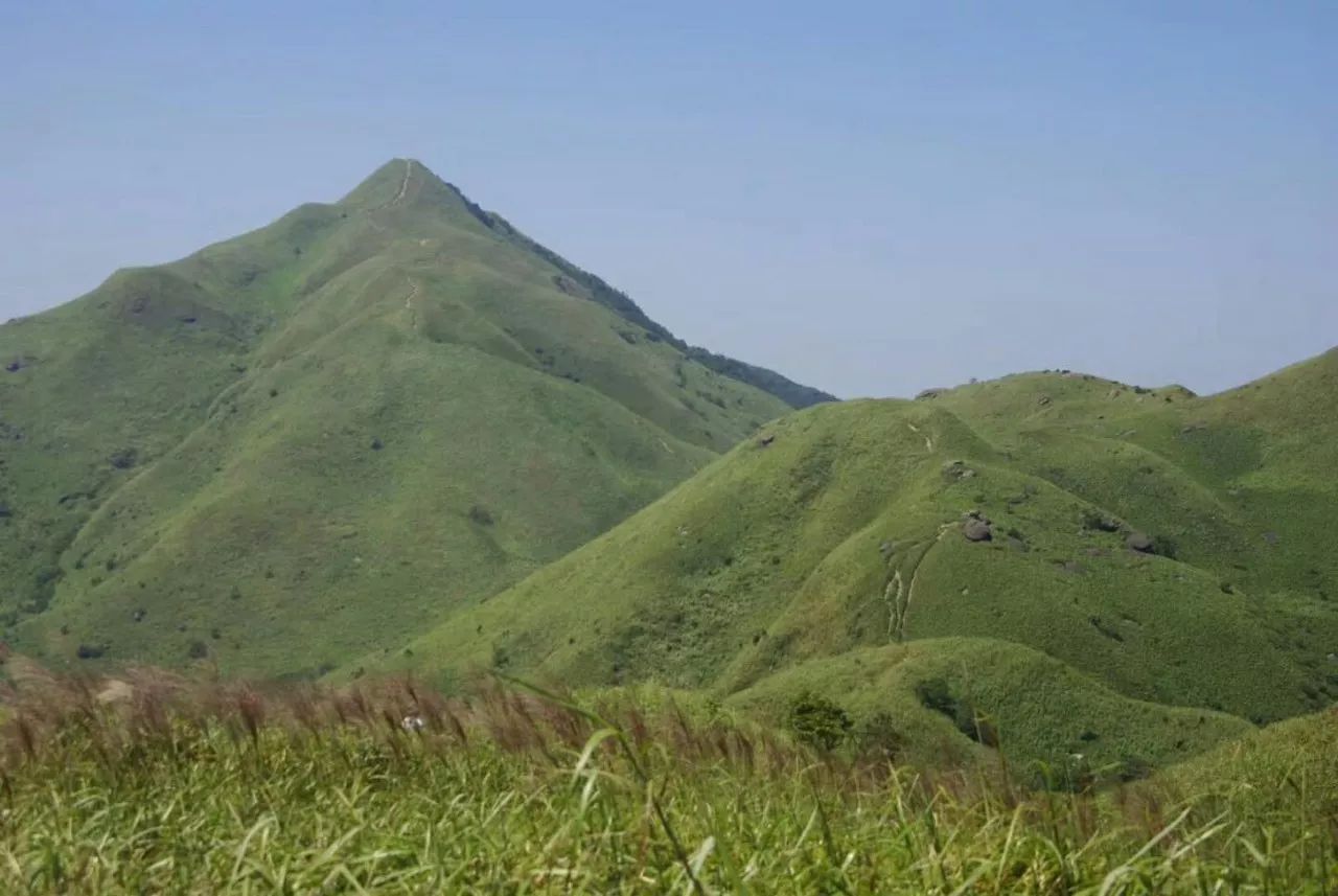 (4)10.29穿越惠州高山草甸大南山，賞金色蘆葦蕩-戶外活動(dòng)圖-駝鈴網(wǎng)