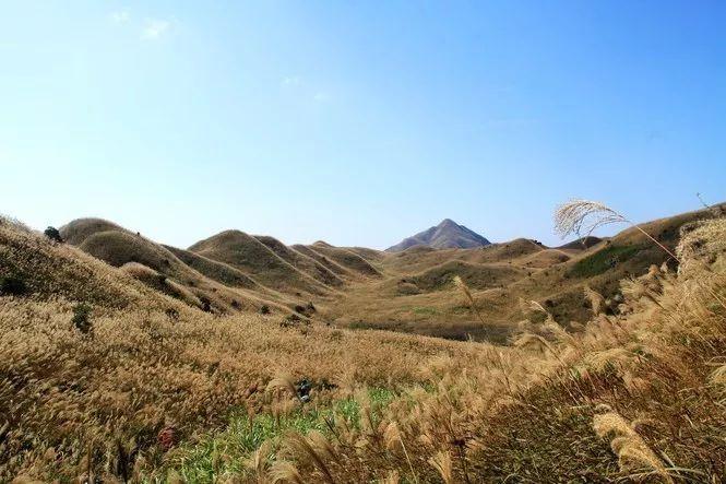 (2)10.29穿越惠州高山草甸大南山，賞金色蘆葦蕩-戶外活動(dòng)圖-駝鈴網(wǎng)