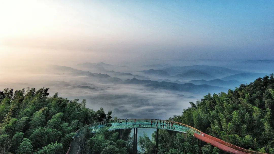 雲端,萌寵,竹尖上,一起來蜀南竹海解鎖新玩法!