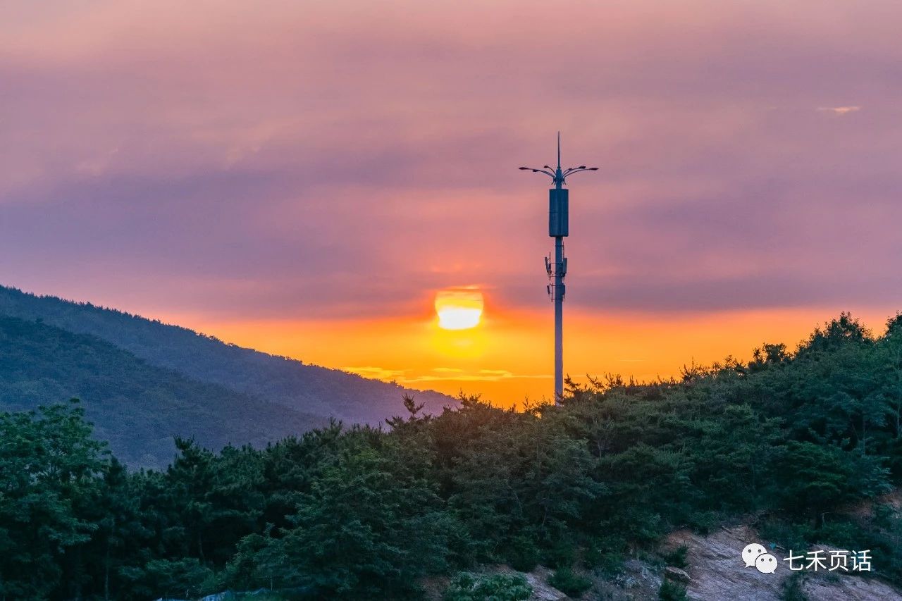 后山的夏天，总是有落霞和天线同窗