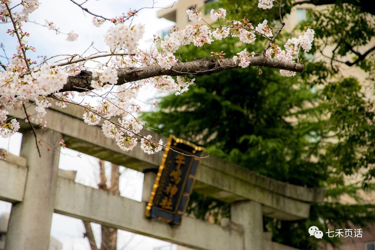 隅田公园