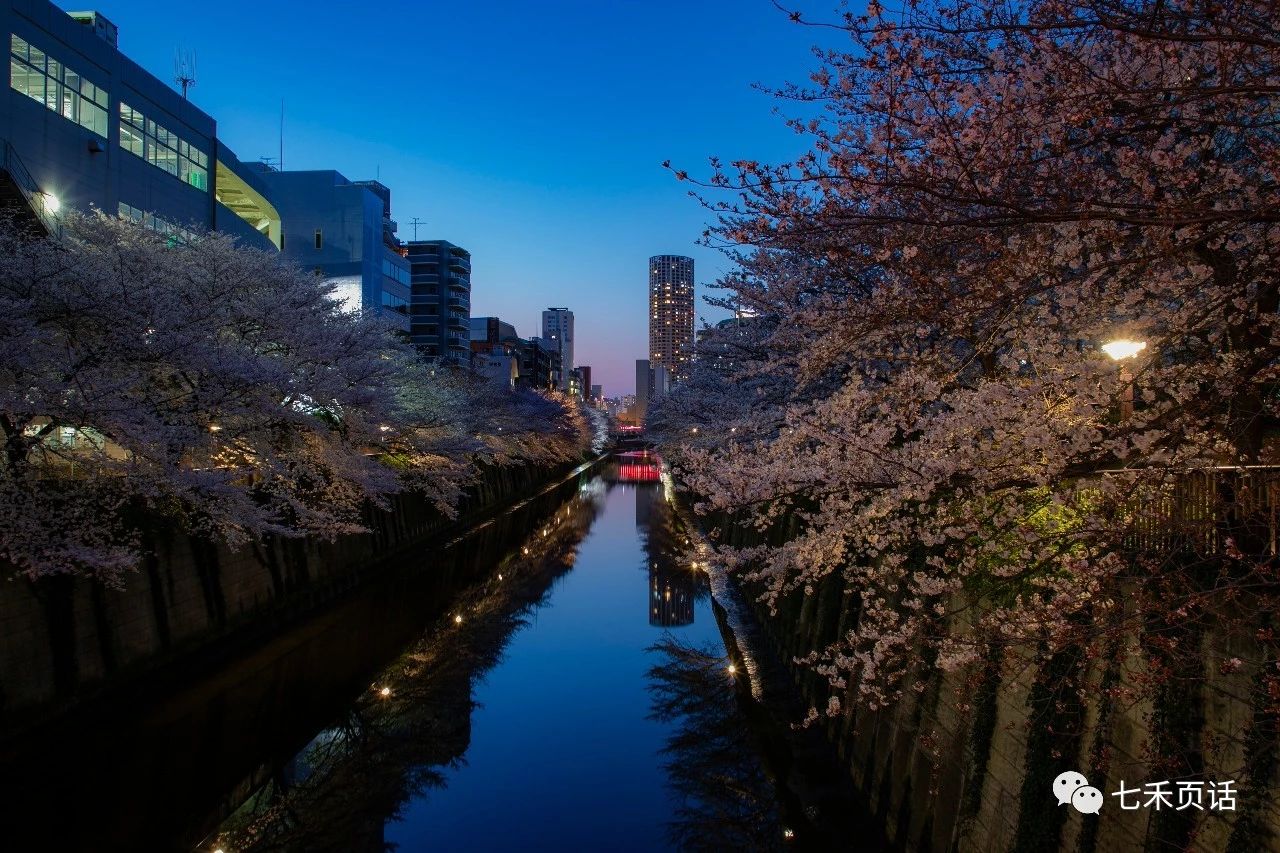 目黑川