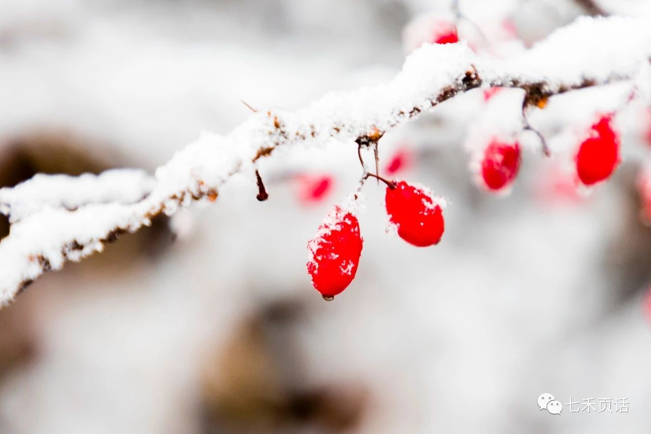 大雪