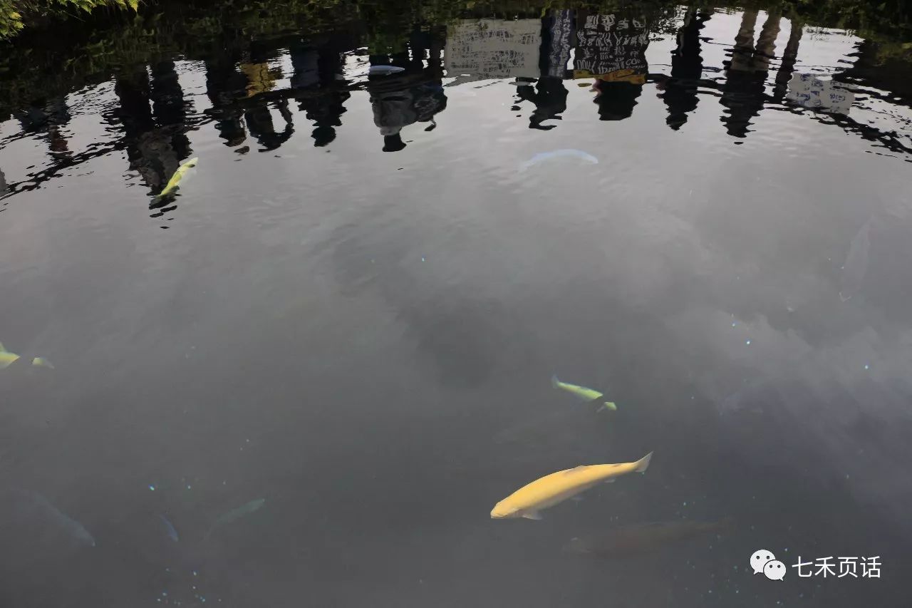 忍野八海