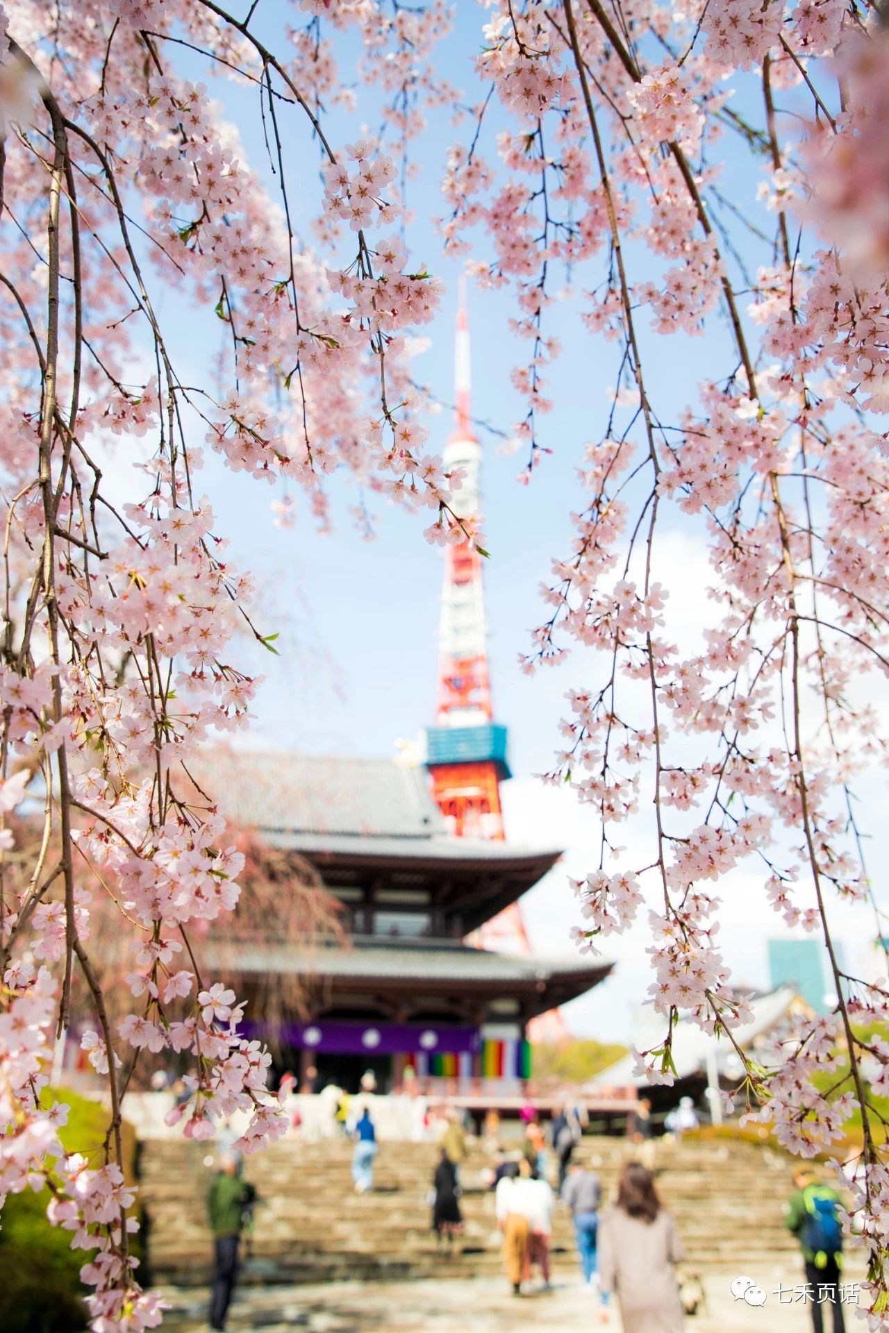 2.日本芝公园